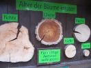 Freundschaften schließen