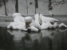 Schnee in Hülle und ...