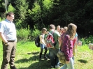 2.Platz - Waldmeister in Gold 