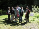 2.Platz - Waldmeister in Gold 