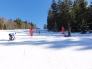 Grünau versus Sotschi 