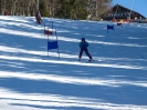 Grünau versus Sotschi 