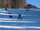 Grünau versus Sotschi 