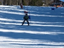 Grünau versus Sotschi 