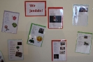 Besucherrekord 