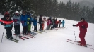 Schifoan is leiwand 