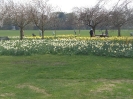 good old England